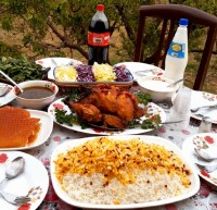 مرغ ذغالی درطبیعت