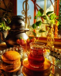 نبات طعم دار