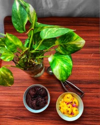 بستنی سنتی زعفرانی و بستنی دبل چاکلت