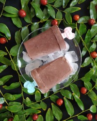 بستنی چوبی فاج شکلاتی