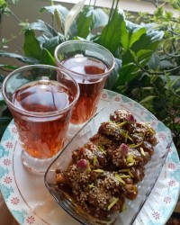 خارک و خرما کبکاب جنوبی