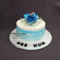 کیک جذاب و دوست داشتنی برای تولد مامان مهربونم ?