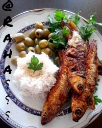 کولی سرخ شده