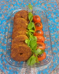 تعداد ی از کارهای قبلیم