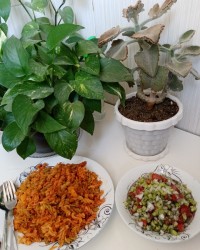 ماکارانی فرمی باسویا