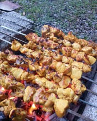 کباب مرغ ذغالی جاتون سبز دوستان