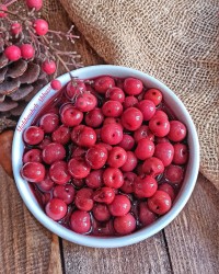 ترشی آلبالو