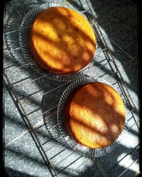 کیک اسفنجی مخصوص تولد