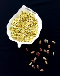 خلال پسته
