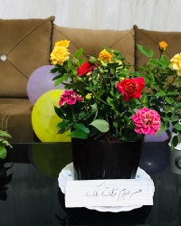 کیک گلدانی برا تولد همسرم