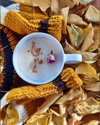 شیربرنج عسلی