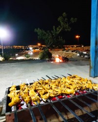 جوجه در دل طبیعت...