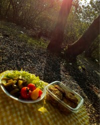 کتلت گوشت و سیب زمینی