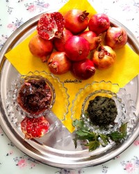 گروهی از خوشمزه های شمالی تقدیمی