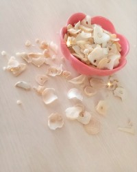 موسیر خشک خانگی