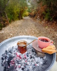 قهوه لطفاً کپشن خوانده شود