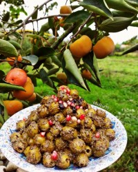 زیتون پرورده (محلی گیلان)