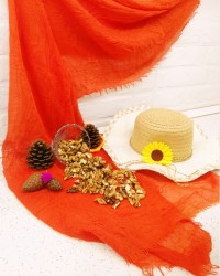 مغز گردو خشک شده