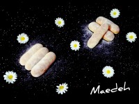 نان مینی باگت