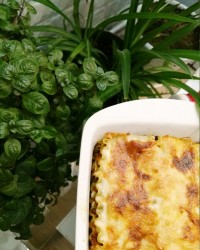 به وقت لازانیا