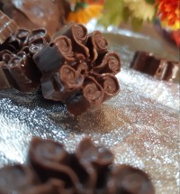 قرارپاپیون بامصی خانوم