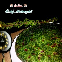 کوکو سبزی قالبی