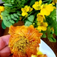 باقلوا گل