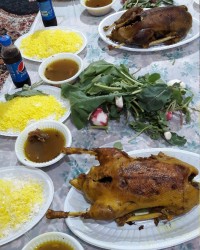 شام دعوتی عروسی غاز شکم پر