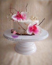 کیک ارکیده