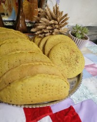 کلمبه ی عدسی