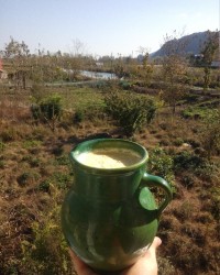 ماست محلی فالو _فالو