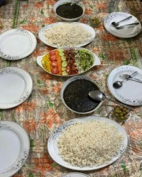 قرمه سبزی جان