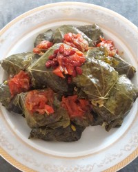 نهارامروزما دلمه