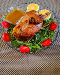 مرغ محلی شکم پر