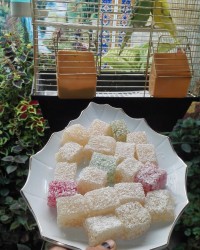 باسلوق رنگی