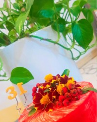 مینی کیک جذاب