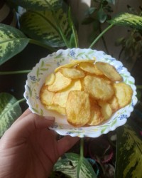 چیبس خانگی عاطفه پز