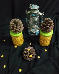 کنسروذرت ذرت پخته شده برا مصرف غذایی