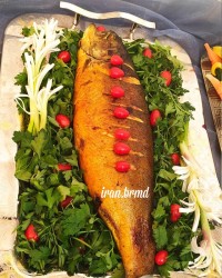 ماهی شکم پر