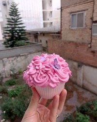 باگر کیک تولد