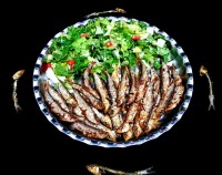 ماهی کیلکا