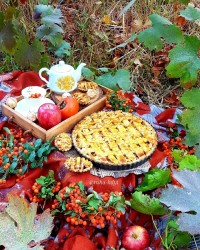 تارت کدو حلوایی