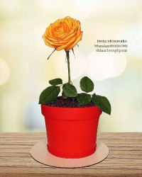 کیک گلدان خامه ای