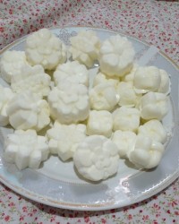 کره قالبی