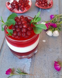 ژله بستنی انار