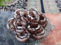 دونااااات??