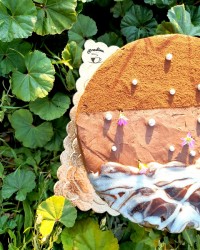 کیک شکلاتی گاناش فرم گرفته