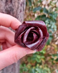 لواشک سیب و آلبالو