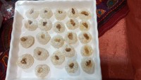 باسلوق یلدایی