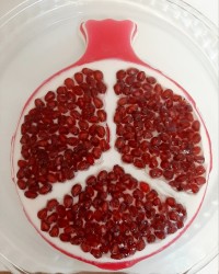 ژله پاناکوتا